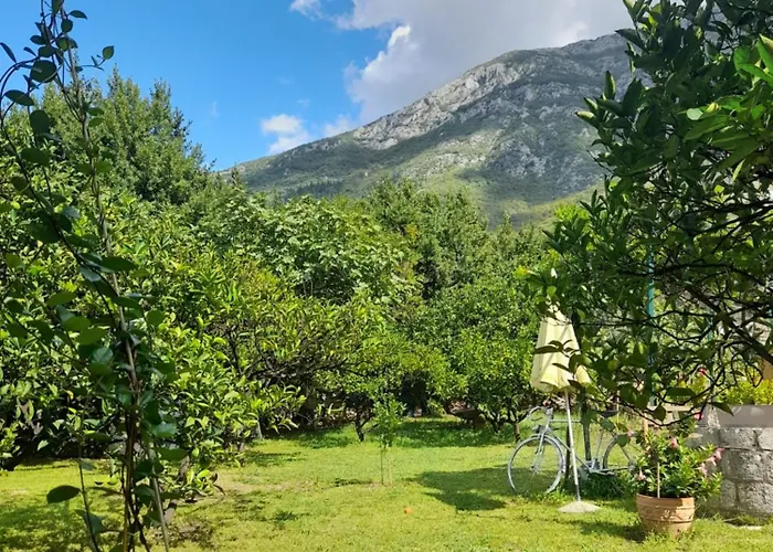 Apartments Nikovic
